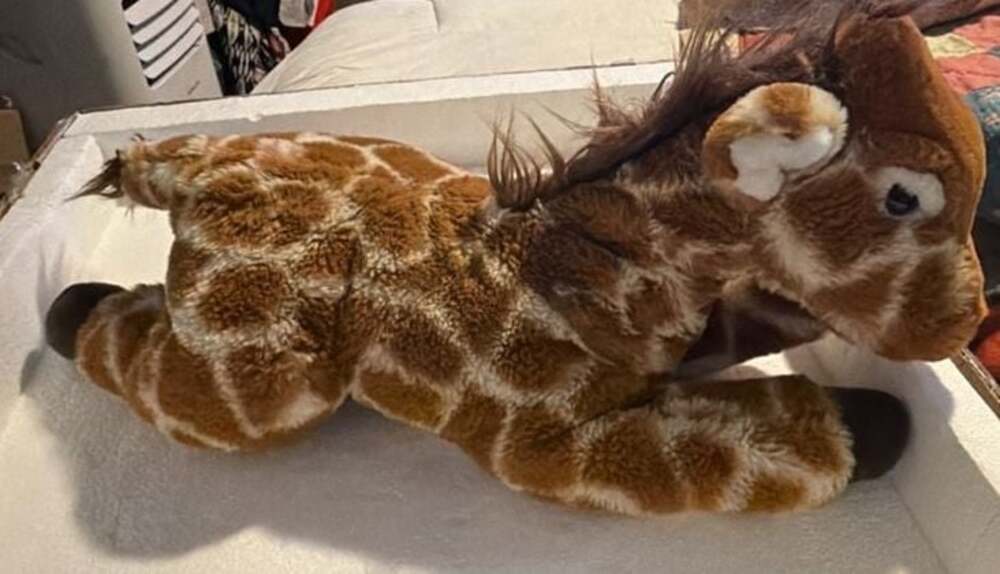 FAO Schwarz Laying Floppy Giraffe Plush Stuffed Animal